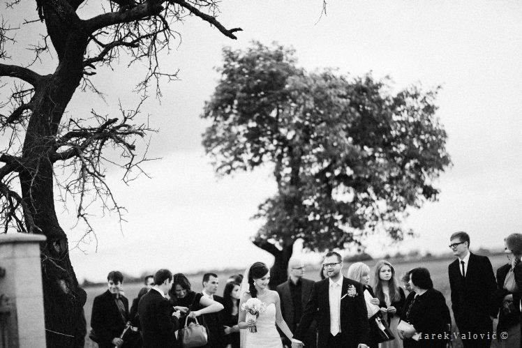 black & white wedding photography old tree