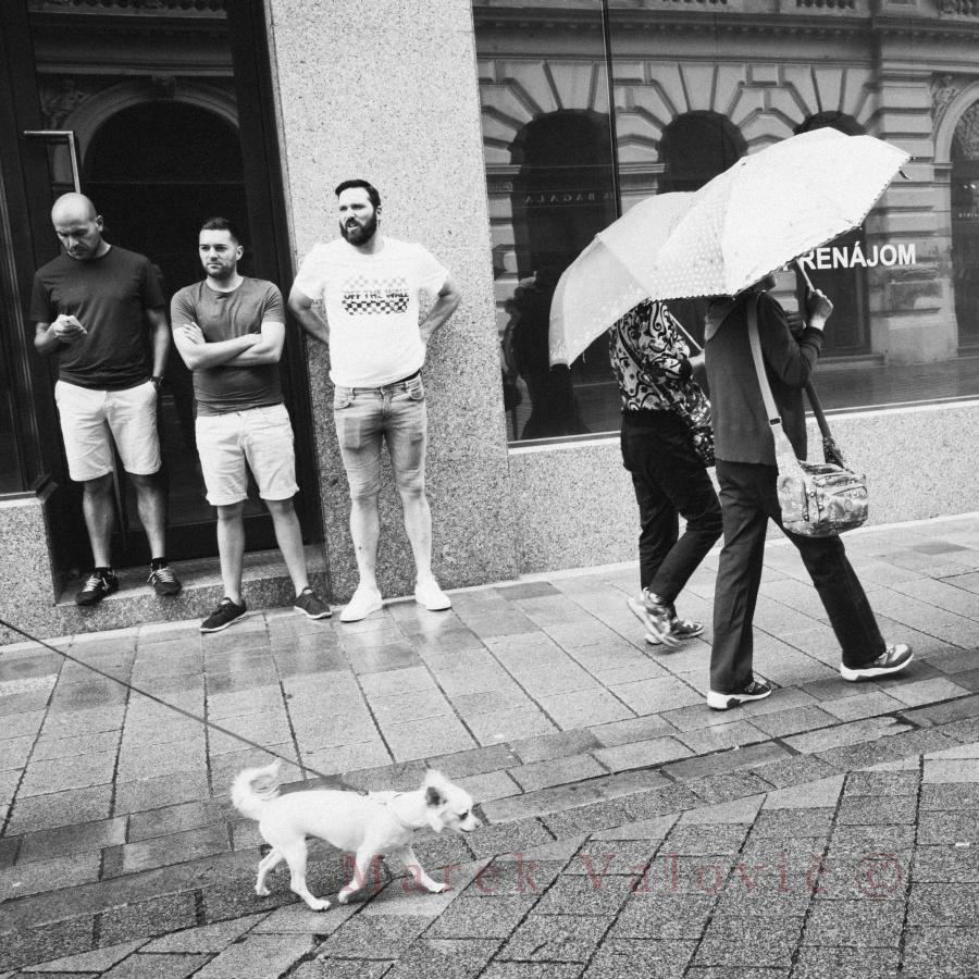 Street Photography | Three men dog and surprise coming | ready to print
