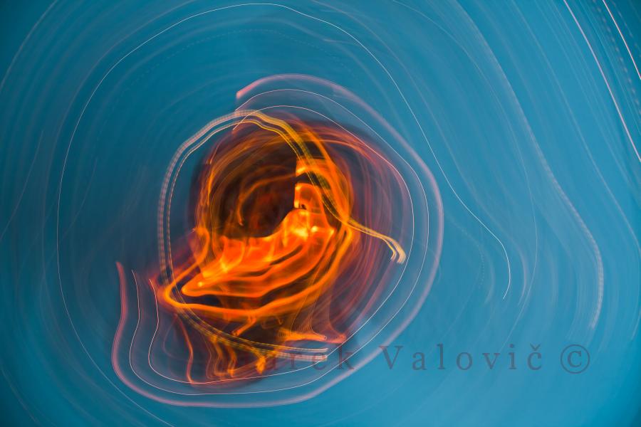 Expressionism | Fine art photo | Warm orange life object in blue cold foggy space | JPEG file ready to print