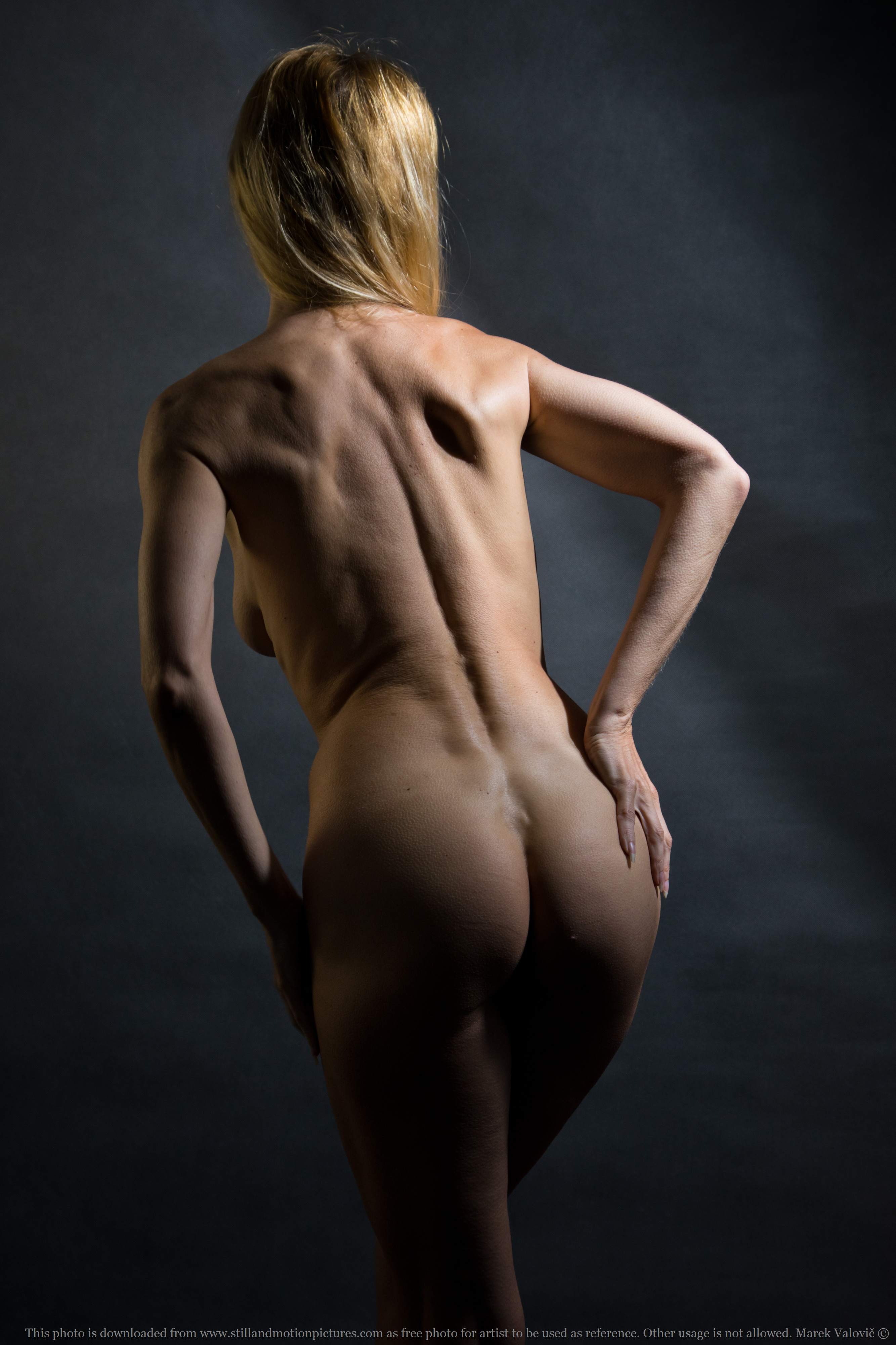 free nude woman pose for artist | back | light and dark part | lean figure