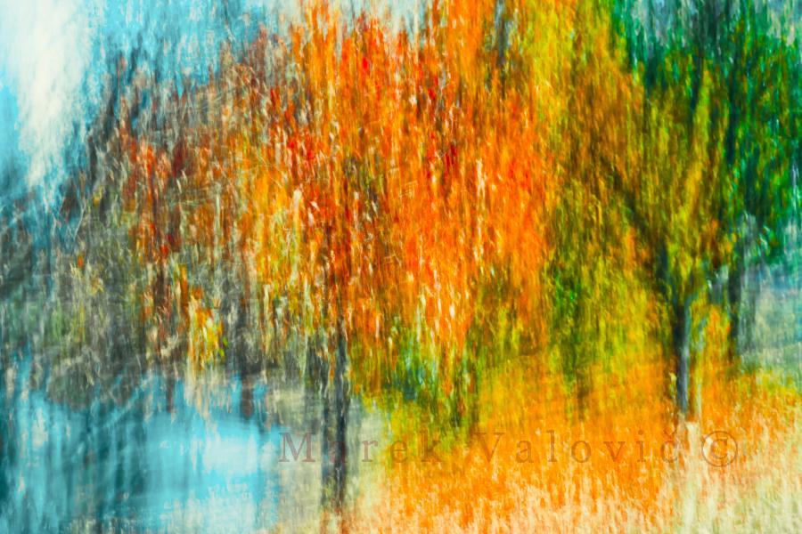 Impressionism Fine art photo of Autumn trees | JPEG file ready to print