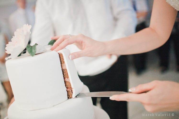 wedding cake cutting - white simple cake
