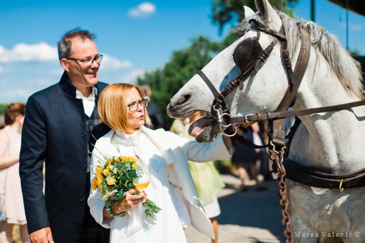 Bräutigam und Braut mit Pferde