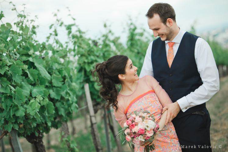 bride and groom - vineyard over Vienna