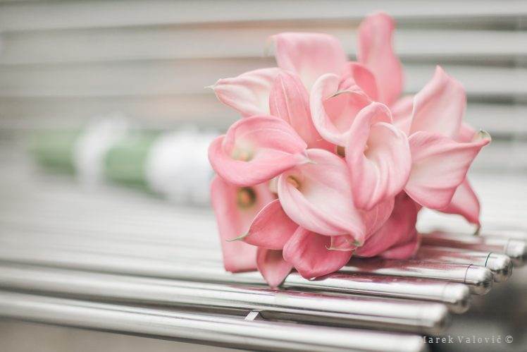 Jednoduchá ale efektná svadobná kytica ružová kala